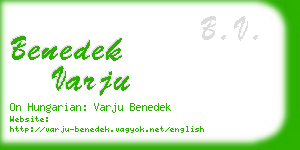 benedek varju business card